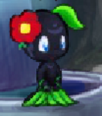 Akia